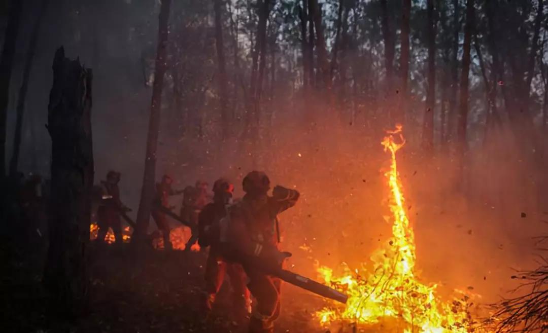 1539756756362389.jpg 3.jpg