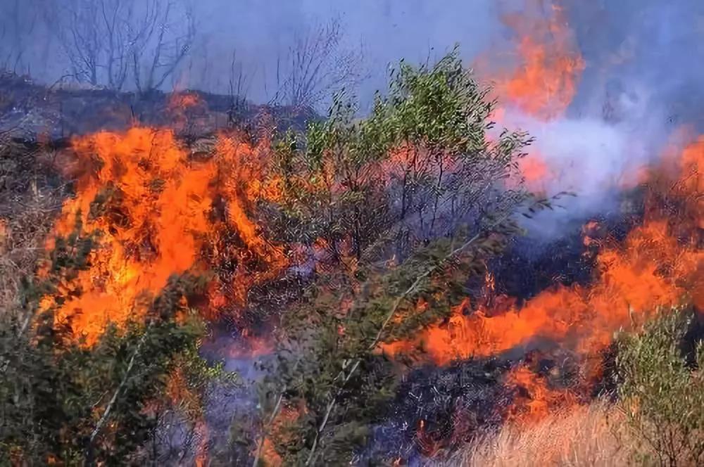 1539756841340531.jpg 10.jpg