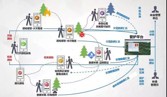 1539756872628063.jpg 13.jpg